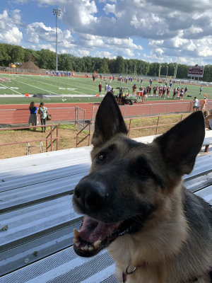 joni-fhs22.jpg