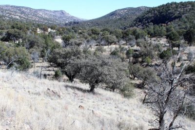 Madera Canyon Trail