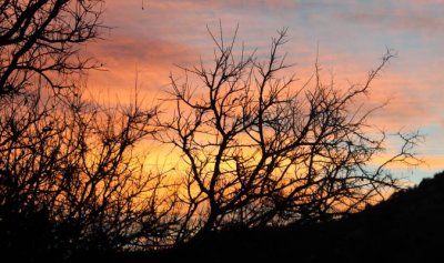 Late-winter Sunrise, Davis Mountains