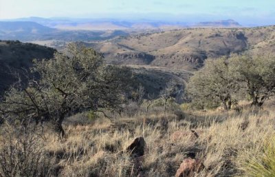 View Out of Davis Mountains State Park