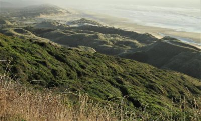 Dunes North of Florence, Oregon