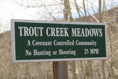 Trout Creek Meadows