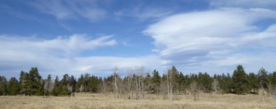 Scudding Lenticulars