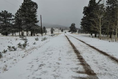 Winterized Singletree Road