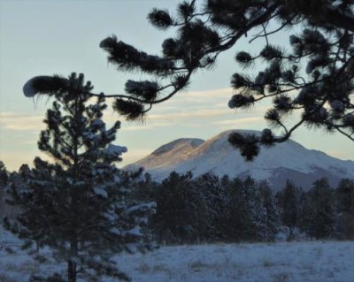 Buffalo Peaks Vicinity