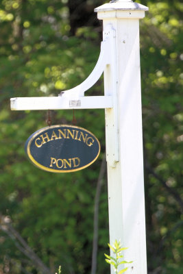 Channing Pond, Dover Ma.