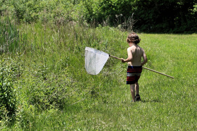 Frog Hunter