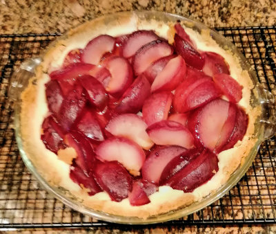 German Plum Tart