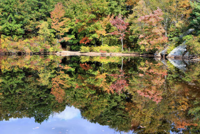 Hale Reservation Westwood Mass