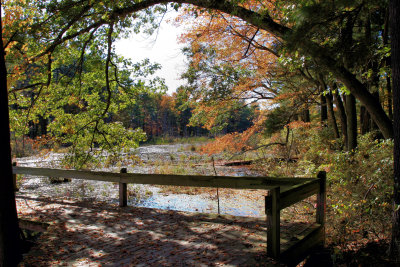 Broadmoor wildlife sanctuary