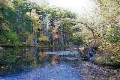 Broadmoor wildlife sanctuary