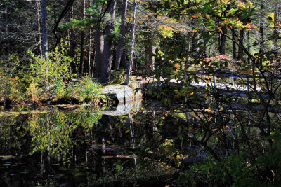 Broadmoor wildlife sanctuary
