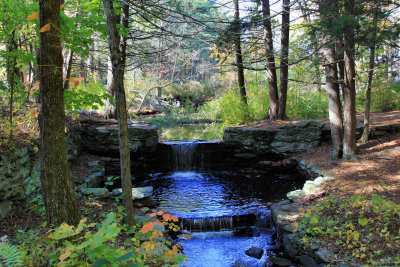 Broadmoor wildlife sanctuary