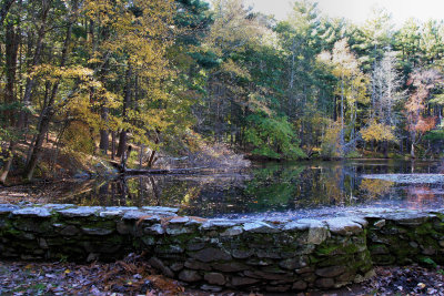 Broadmoor wildlife sanctuary