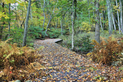 Broadmoor wildlife sanctuary