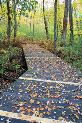 Broadmoor wildlife sanctuary