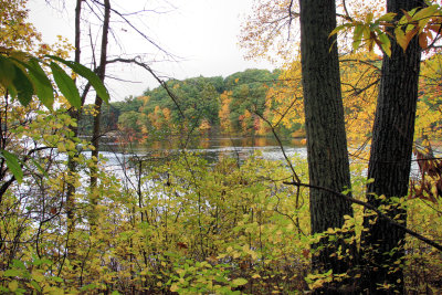 Broadmoor wildlife sanctuary