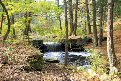 Broadmoor wildlife sanctuary