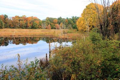 Broadmoor wildlife sanctuary