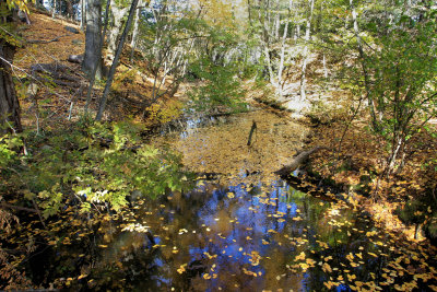 Hemlock Gorge Reservation