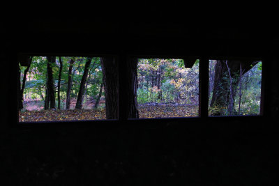 Blue Heron Trail