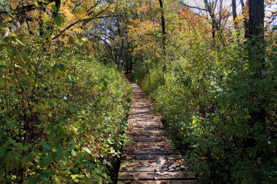 Blue Heron Trail