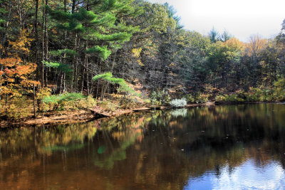 Blue Heron Trail