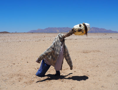 Namibian Scarecrow