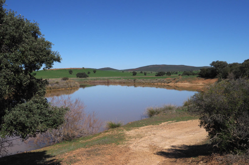The irrigation reservoir, Pealajo