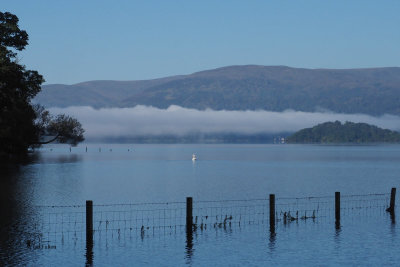 Misty morning at RSPB Loch Lomond