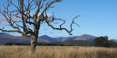 Glen Luss hills from Ring Point at RSPB Loch Lomond