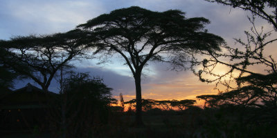 Ndutu Ngorongoro Conservation Area