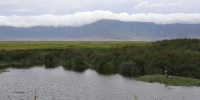 View on the crater floor