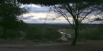 View from my room/tent at Tarangire Safari Lodge