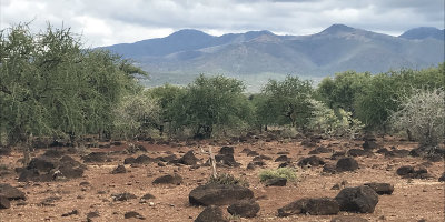 Roadside between Arusha and Tarangire