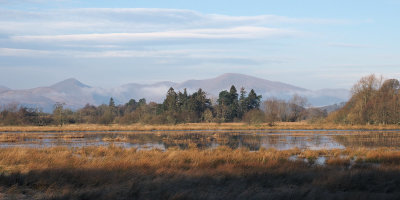 Wards Pond, RSPB Loch Lomond