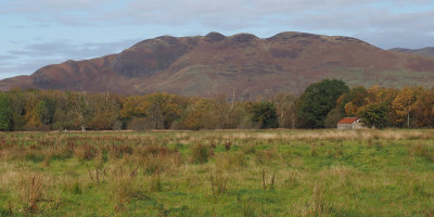 Conic Hill from Woodend