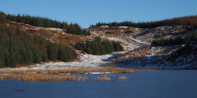 Auchineden Hill, Burncrooks