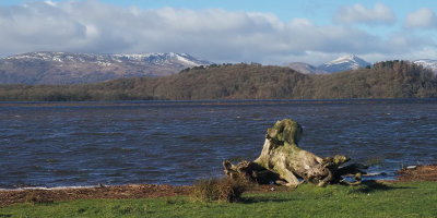 High flood level at the Endrick Mouth, Loch Lomond