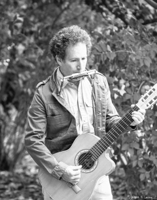 Tony Mann as Bob Dylan