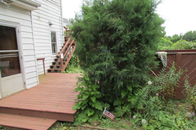 Ground level one BR apartment