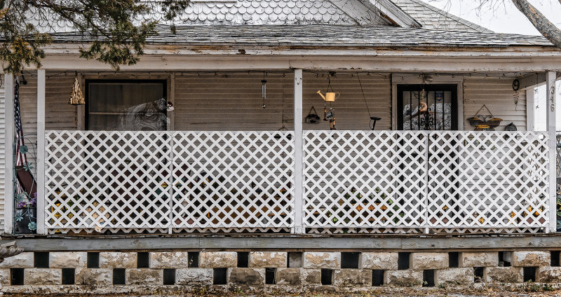 Privacy Fence