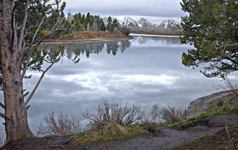 Oxbow Bend Before Sunrise