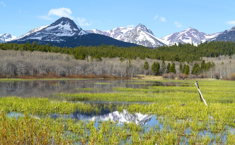 Entering Glacier N.P.