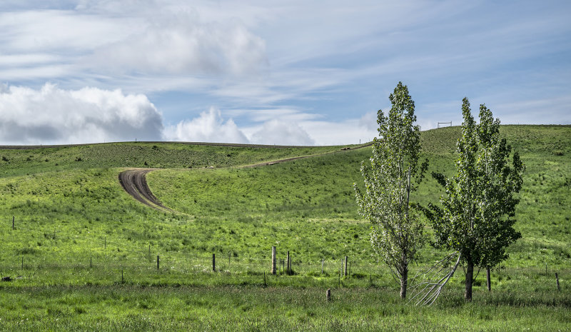 The Bend In The Road