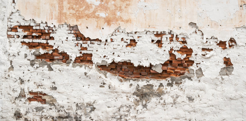 Beauty in Decay