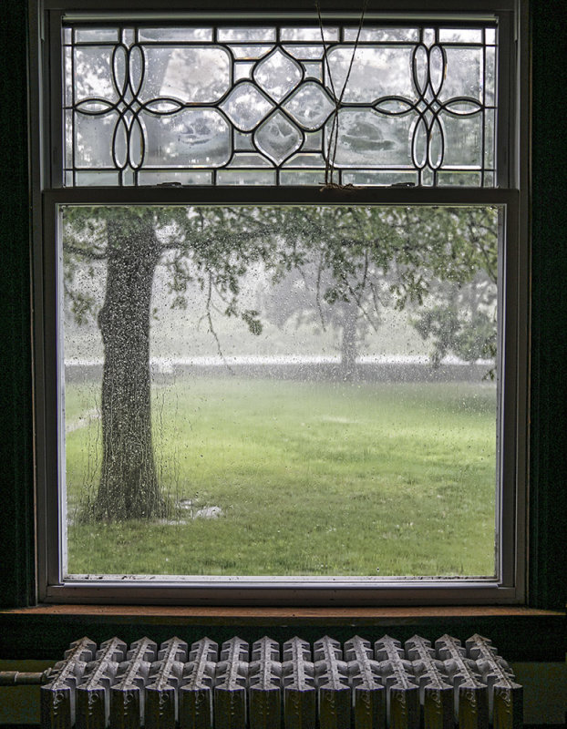 Driving Rain 