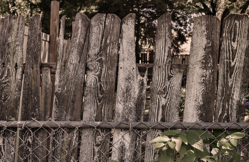 Privacy Fence