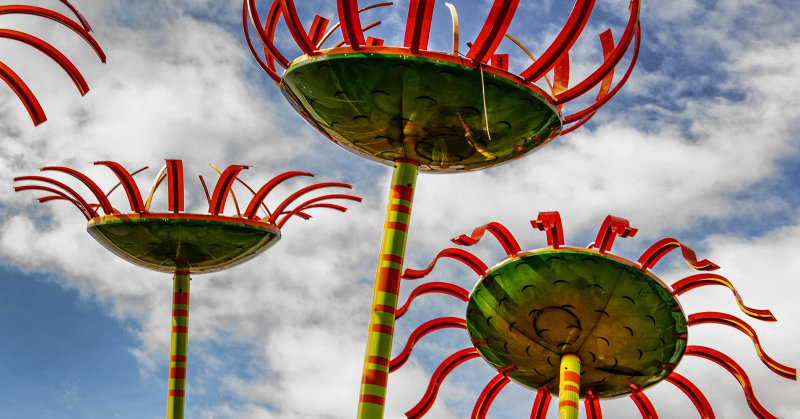 Sonic Bloom Created by Dan Corson