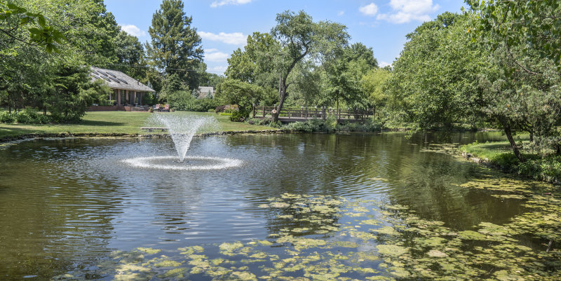 A Family Pond